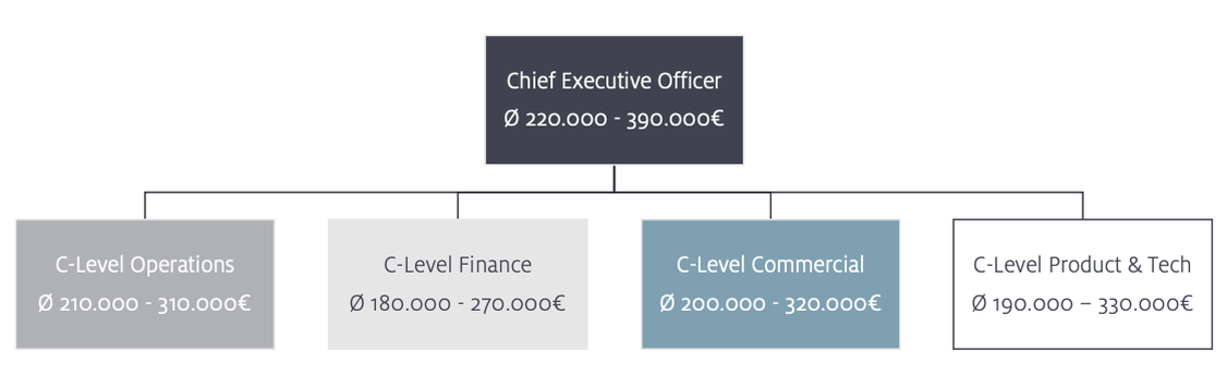 Gehaltsanalyse 2023 unter Führungskräften. (Grafik: i-potentials)