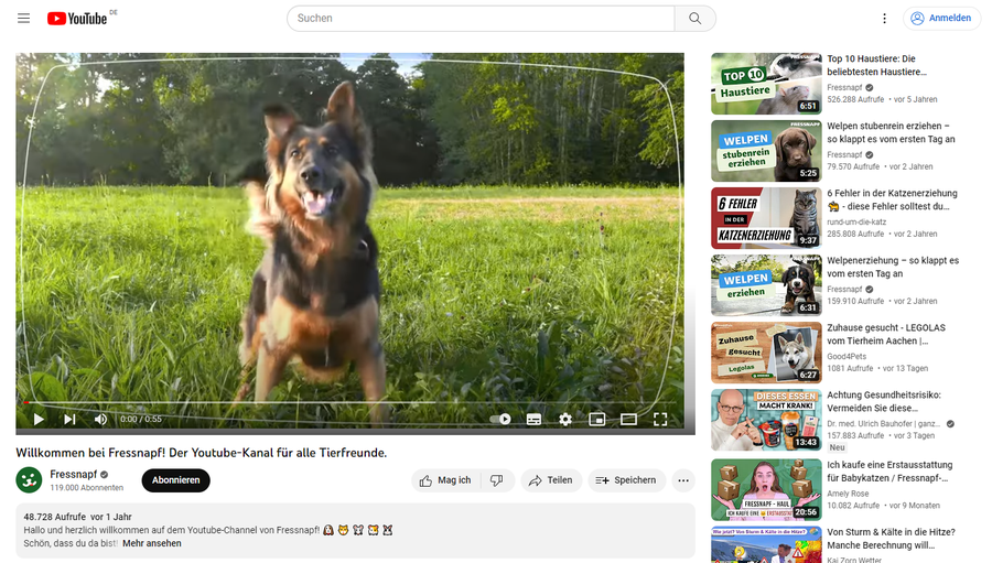 Wuff. Fressnapf ist der erfolgreichste Tierbedarf-Shop auf Youtube