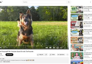Wuff. Fressnapf ist der erfolgreichste Tierbedarf-Shop auf Youtube