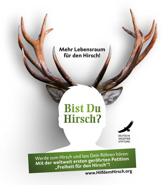 Das Key-Visual der Kampagne. (Bild: Deutsche Wildtier Stiftung)