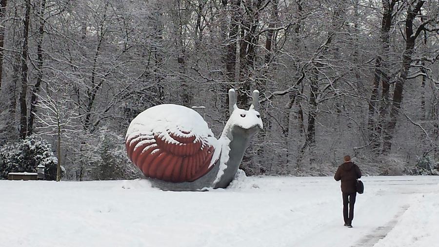 Der Fortschritt ist in deutschen Marketingabteilungen gerade bei der 1:1-Kommunikation eine Schnecke. Eine eingefrorene Schnecke. (Bild: Bianka Matthies)
