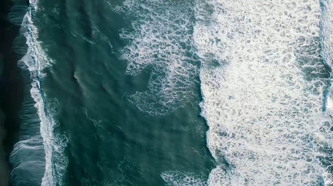 Die Playlist von Project Zero zeigt beruhigende Meeresvideos. (Bild: Preservation Play/Youtube)