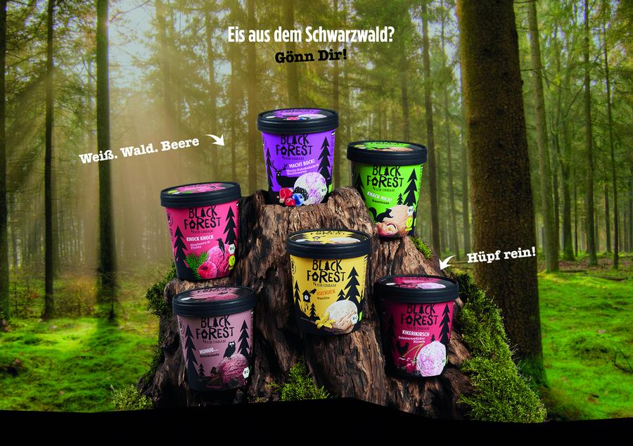  (Bild: Prinzip E)