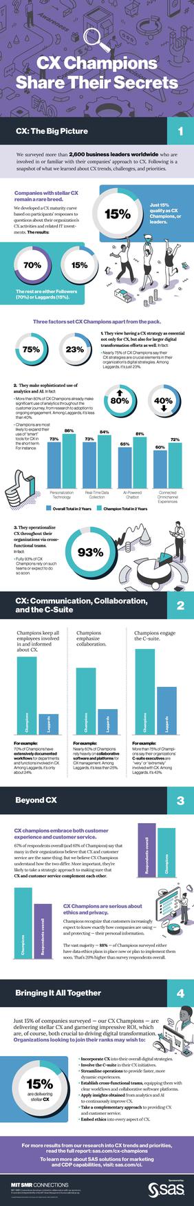 Was Customer-Experience-Champions ausmacht (Grafik: SAS)